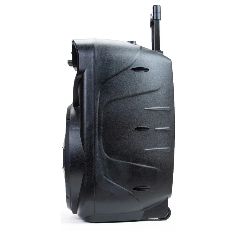 Caixa Amplificada ACA 480 Viper II